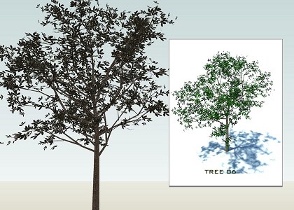 SKETCHUP 3D  TREES collection 1