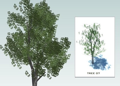 SKETCHUP 3D  TREES collection 1