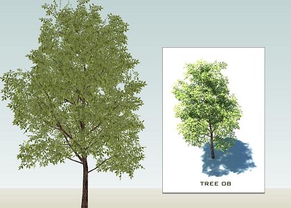 SKETCHUP 3D  TREES collection 1