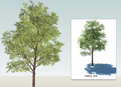 SKETCHUP 3D  TREES collection 1