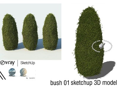 3D Ornamental bushes and trees for the garden