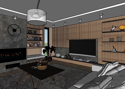 LIVING ROOM & VISOPT | sketchup extract