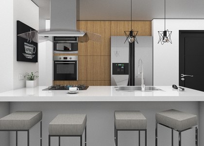 3D Models   -  KITCHEN - Small Kitchen in Costa Rica