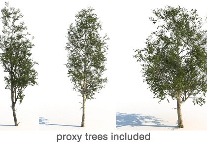 SINGLE FAMILY HOUSE & Visopt | proxy trees included