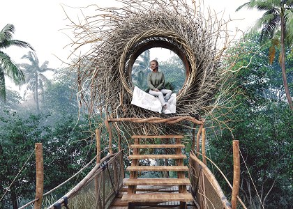 Nest -Bali-Indonesia