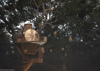 Treehouse | Design & Visualization by Thilina Liyanage