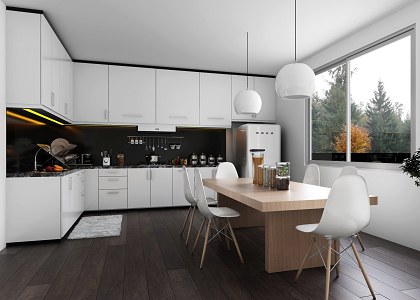 WHITE KITCHEN & VISOPT