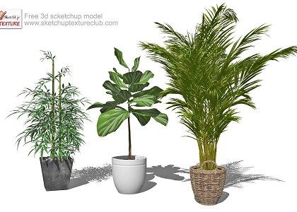 10 SketchUp 3D plants in pots - collection #1 | sketchup preview