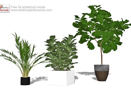 10 SketchUp 3D plants in pots - collection #1 | sketchup preview