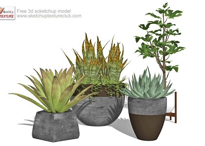 10 SketchUp 3D plants in pots - collection #1 | sketchup preview