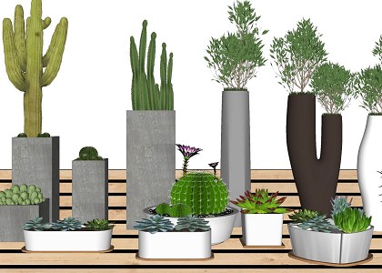 14 SketchUp 3D plants in pots - collection #2