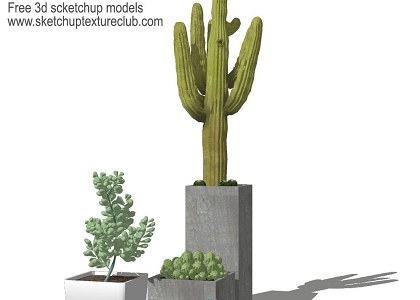 14 SketchUp 3D plants in pots - collection #2 | sketchup preview