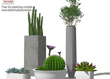 14 SketchUp 3D plants in pots - collection #2 | sketchup preview
