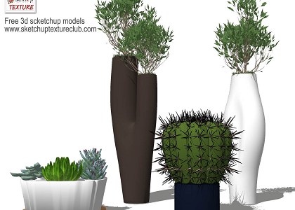 14 SketchUp 3D plants in pots - collection #2 | sketchup preview