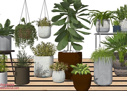 17 SketchUp 3D plants in pots collection #3