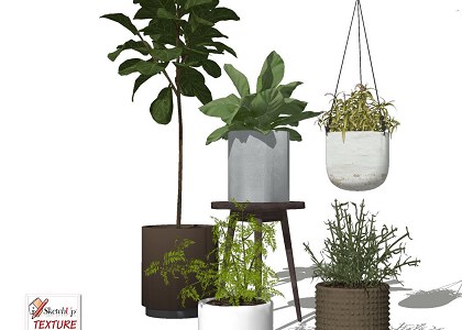 17 SketchUp 3D plants in pots collection #3 | sketchup preview