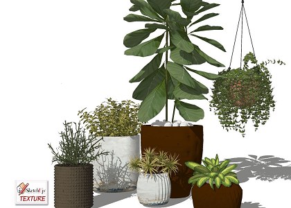 17 SketchUp 3D plants in pots collection #3 | sketchup preview