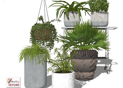 17 SketchUp 3D plants in pots collection #3 | sketchup preview