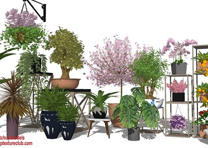 17 SketchUp 3D plants in pots collection #4