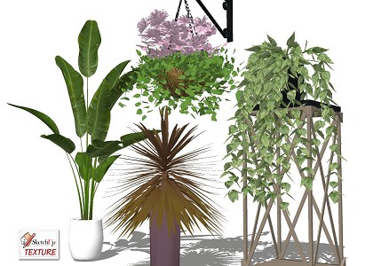 17 SketchUp 3D plants in pots collection #4 | sketchup preview