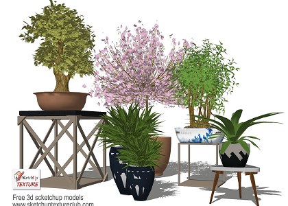 17 SketchUp 3D plants in pots collection #4 | sketchup preview