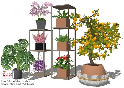 17 SketchUp 3D plants in pots collection #4 | sketchup preview