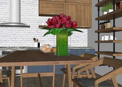 MODERN KITCHEN & visopt | 3d model sketchup view