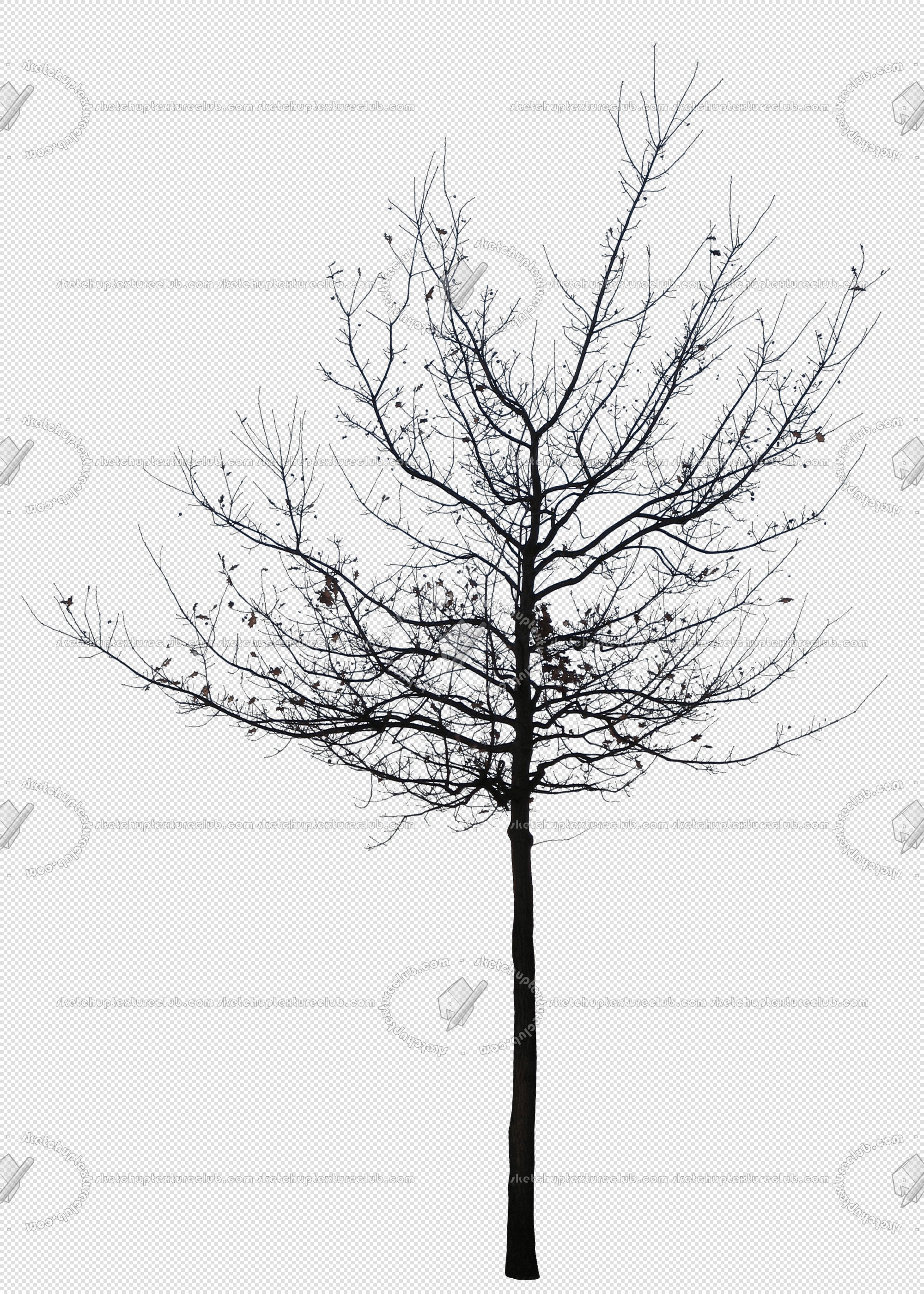 CUT OUT WINTER TREES PACK 2 00039 - 19 - cut out winter tree px  2000x2800
