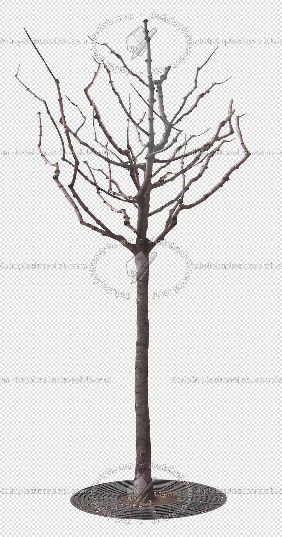 CUT OUT WINTER TREES PACK 2 00039 - 20 - cut out winter tree px 976x1856