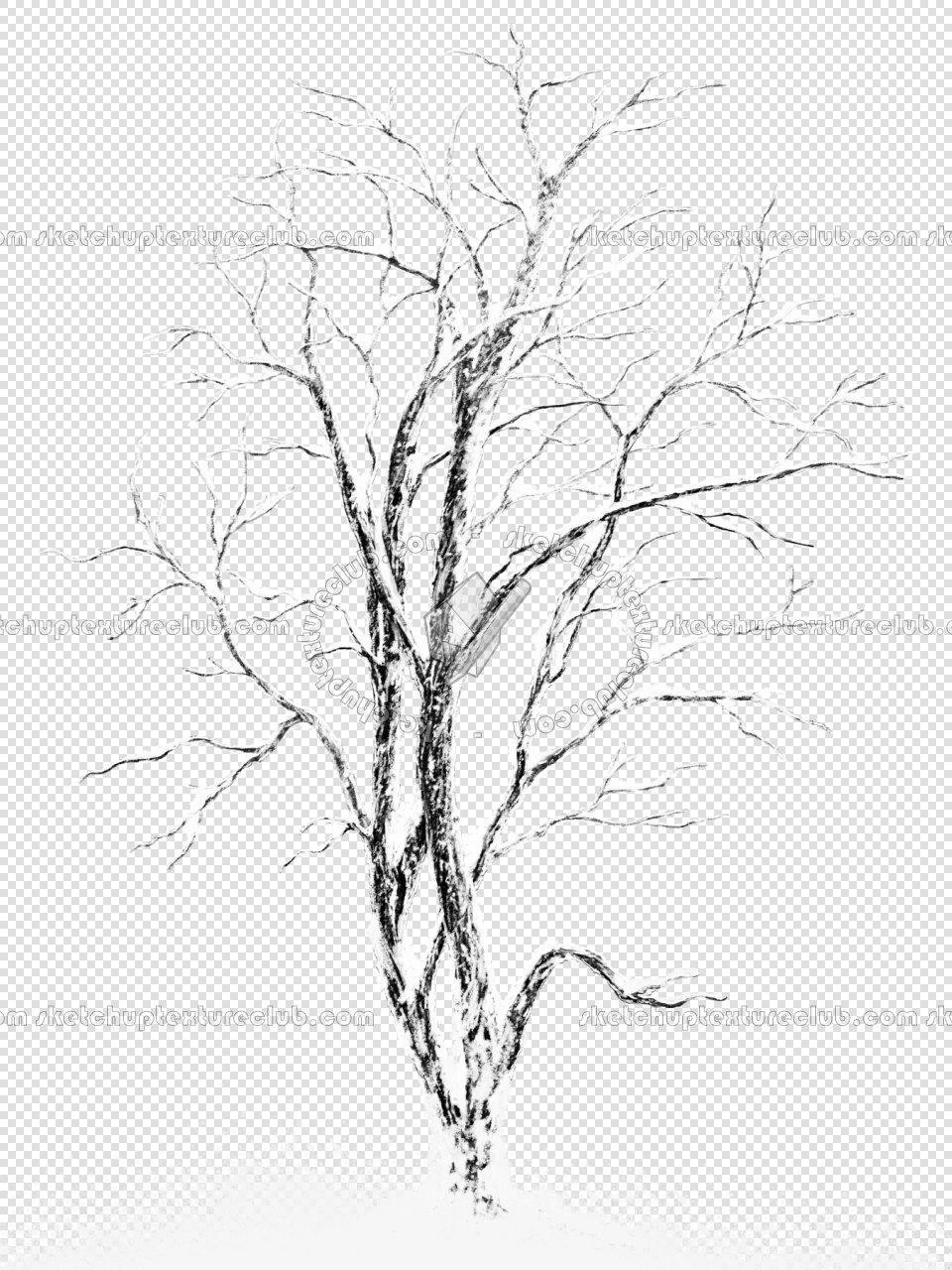 CUT OUT WINTER TREES PACK 2 00039 - 21 - cut out winter tree px 960x1280