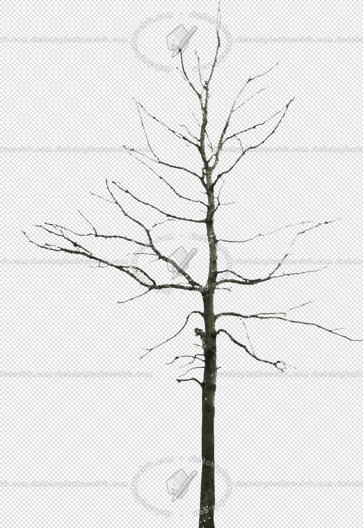 CUT OUT WINTER TREES PACK 2 00039 - 22 - cut out winter tree px 1271x1847