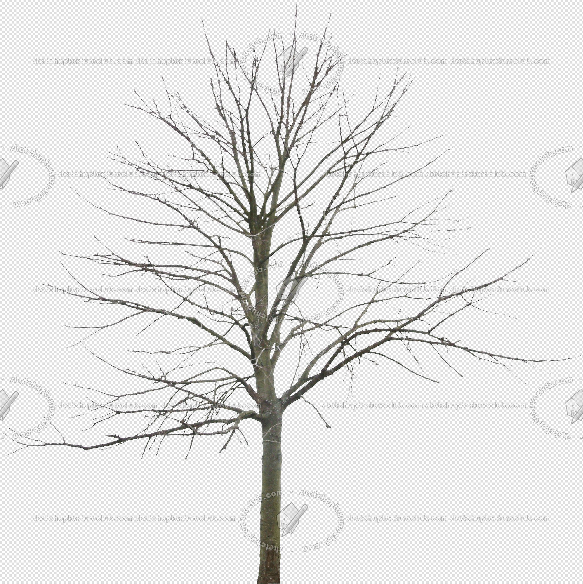 CUT OUT WINTER TREES PACK 2 00039 - 23 - cut out winter tree px 1980x1985