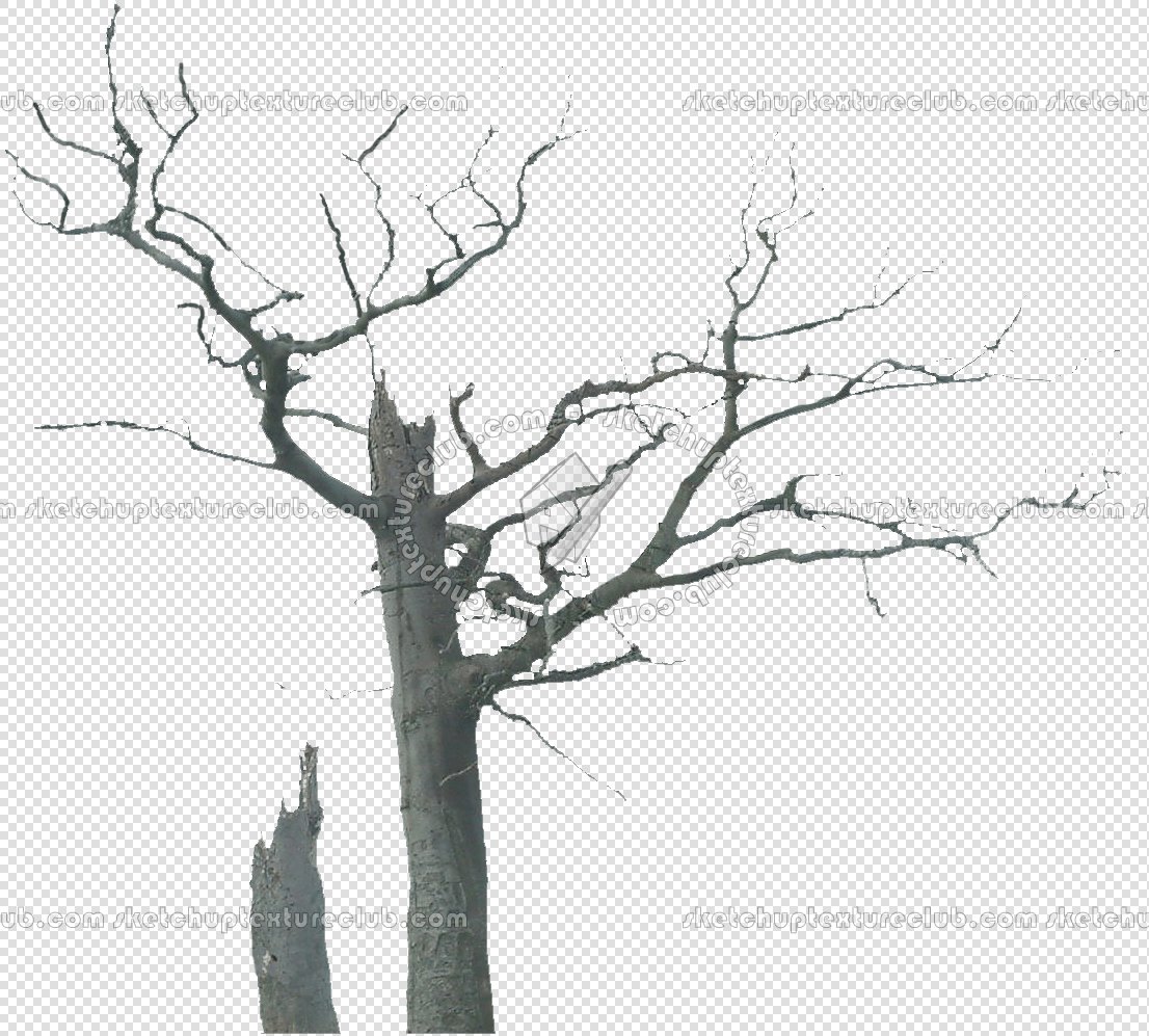 CUT OUT WINTER TREES PACK 2 00039 - 24 - cut out winter tree px 1106x997