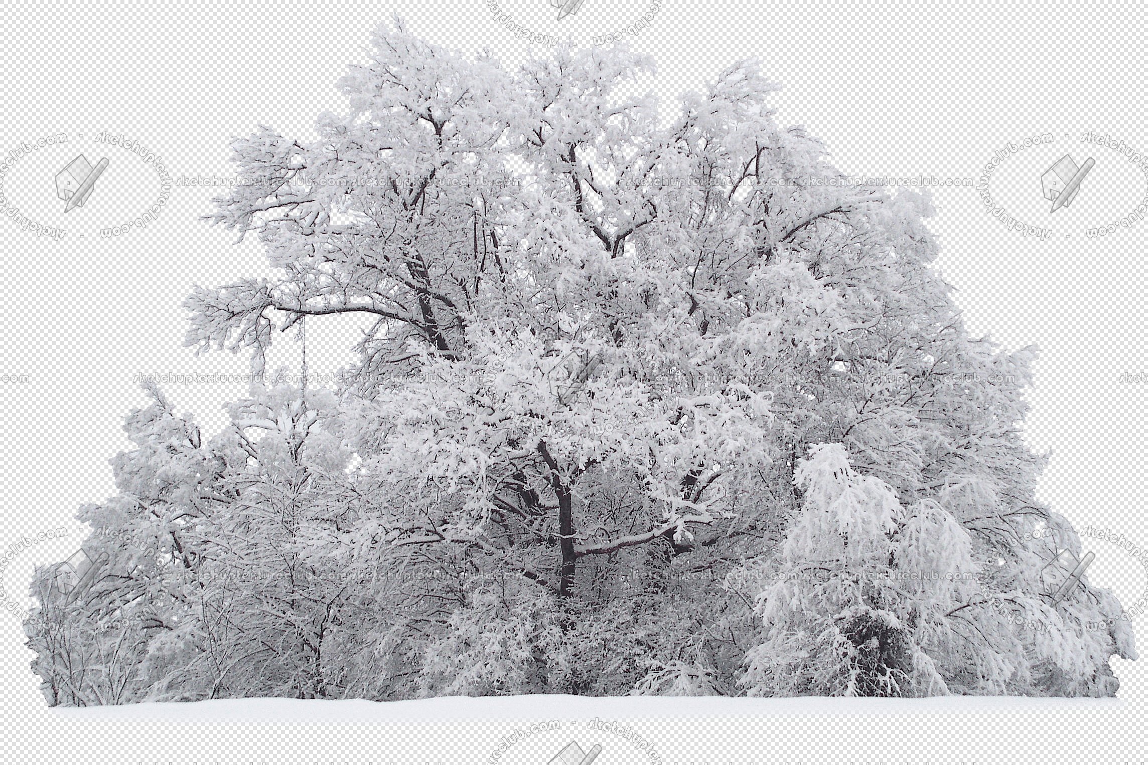 CUT OUT WINTER TREES PACK 2 00039 - 25 - cut out winter tree px 2288x1526