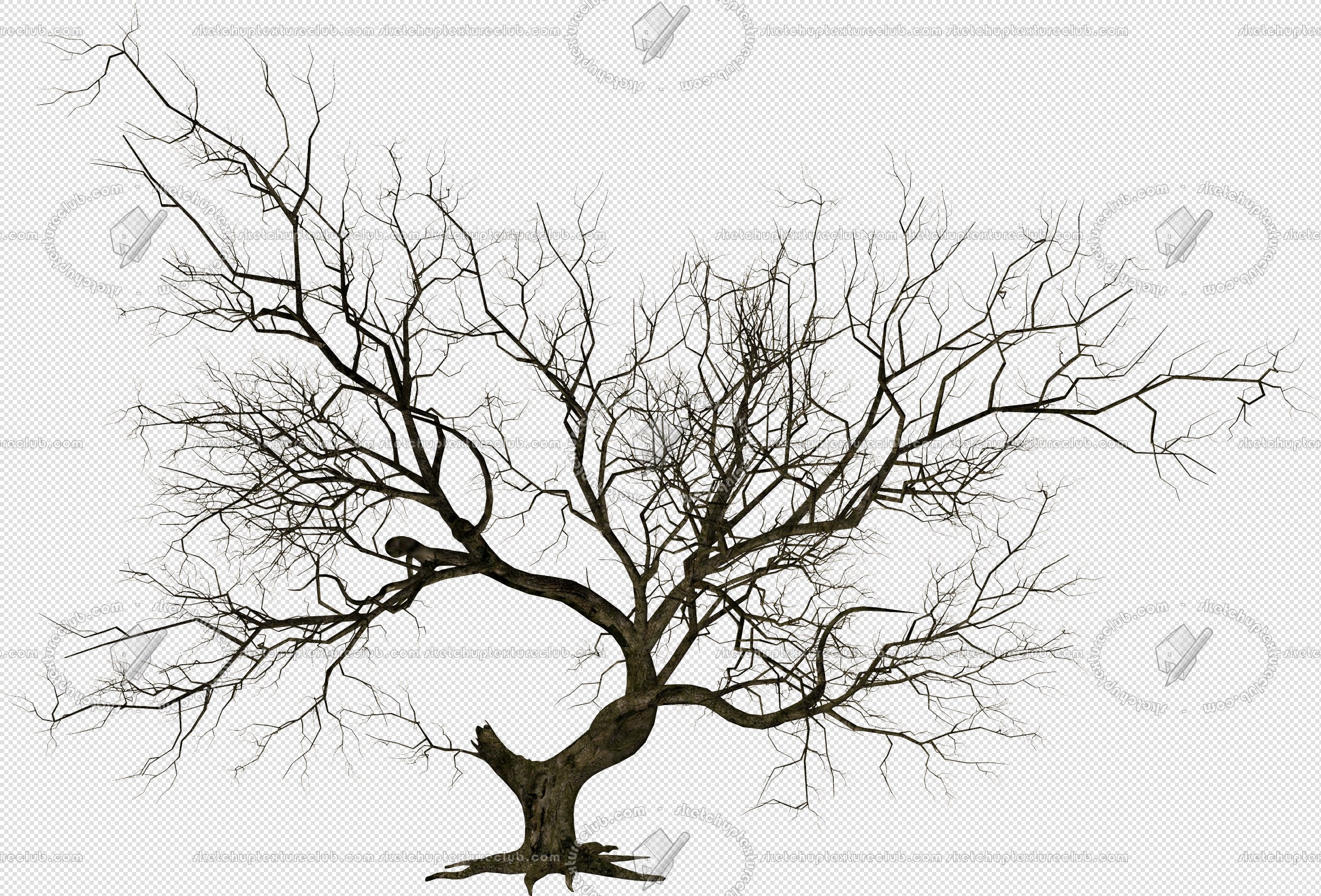 CUT OUT WINTER TREES PACK 2 00039 - 28 - cut out winter tree px 2483x1685