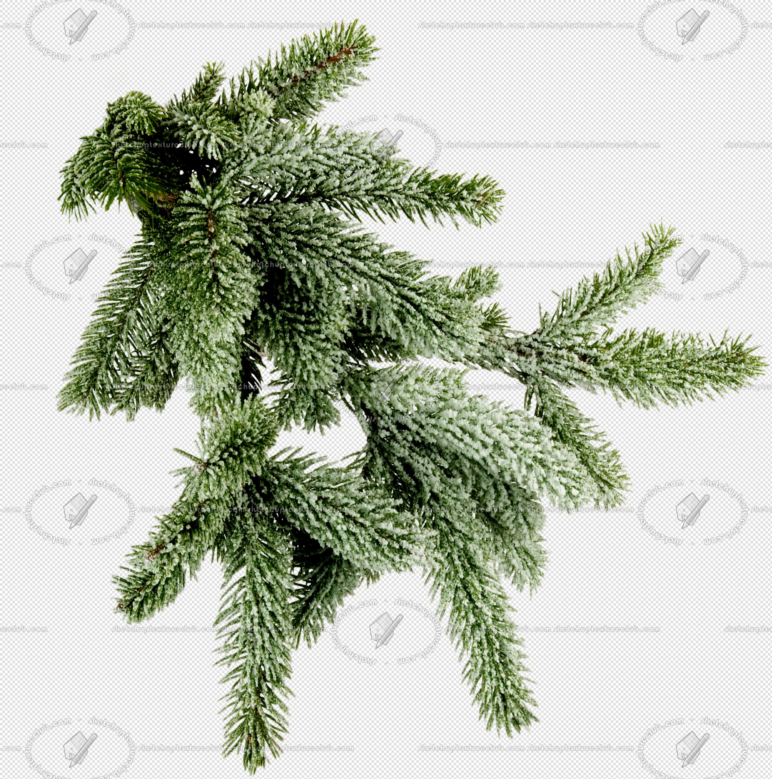 CUT OUT TREES PACKAGE 1 00011 - px 2477x2500