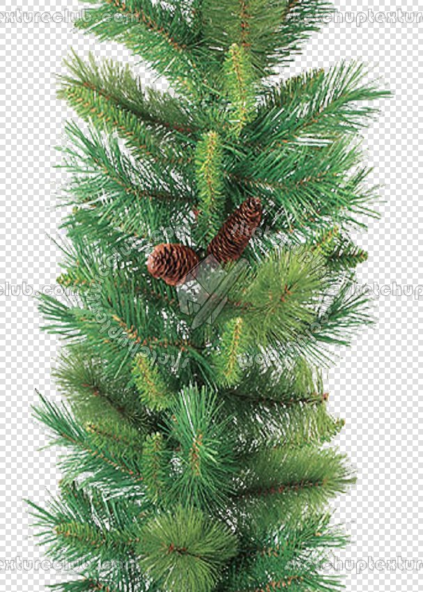 CUT OUT TREES PACKAGE 1 00011 - px 607x850