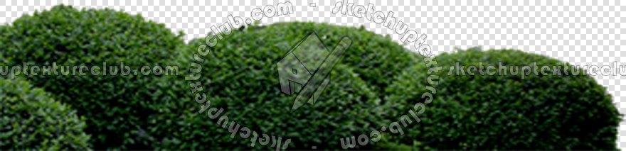 CUT OUT TREES PACKAGE 1 00011 - px 880x213