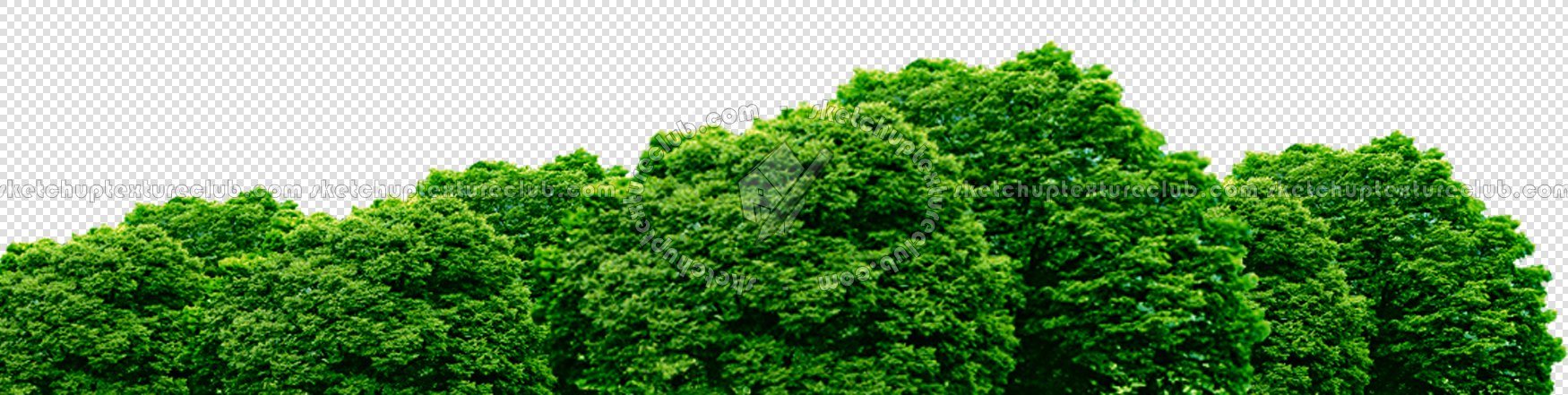 CUT OUT TREES PACKAGE 1 00011 - px 1750x441