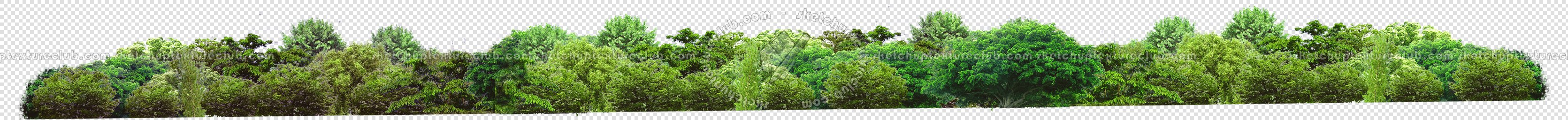 CUT OUT TREES PACKAGE 1 00011 - px 3341x256