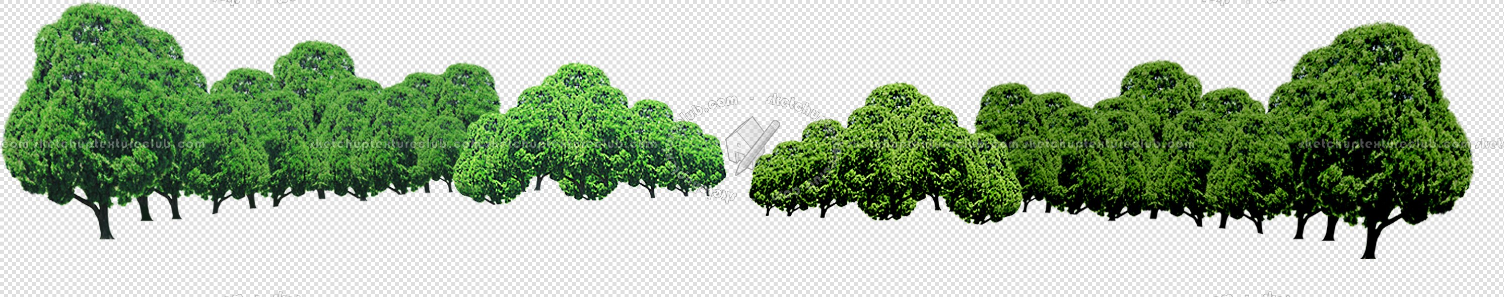 CUT OUT TREES PACKAGE 1 00011 - px 2986x590