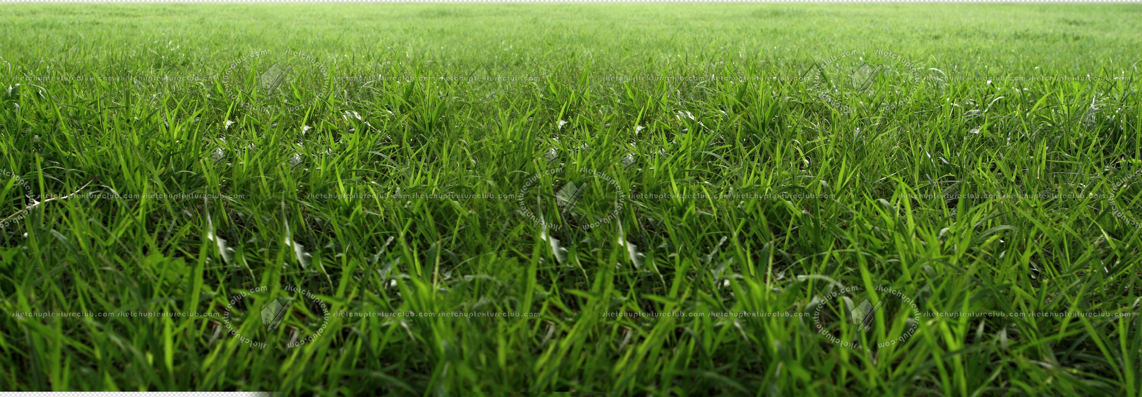 CUT OUT TREES PACKAGE 1 00011 - px 3800x1323