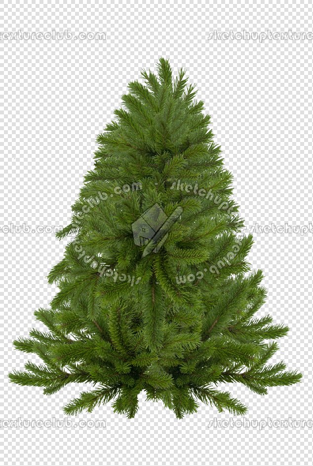 CUT OUT TREES PACKAGE 1 00011 - px 634x945