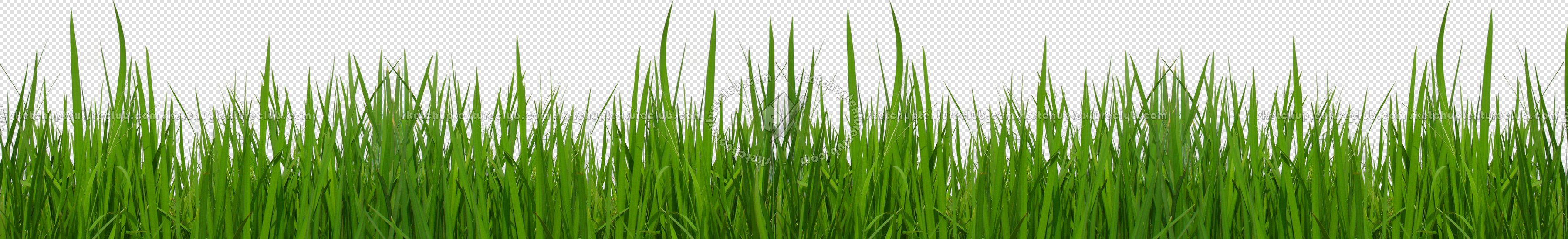 CUT OUT TREES PACKAGE 1 00011 - px 3600x550