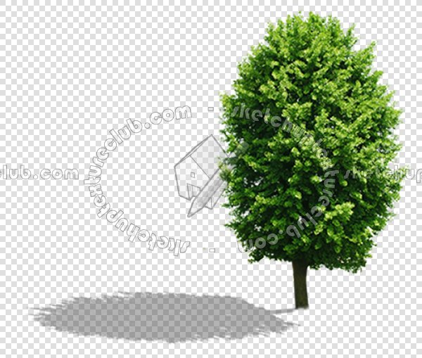CUT OUT TREES PACKAGE 1 00011 - px 600x509
