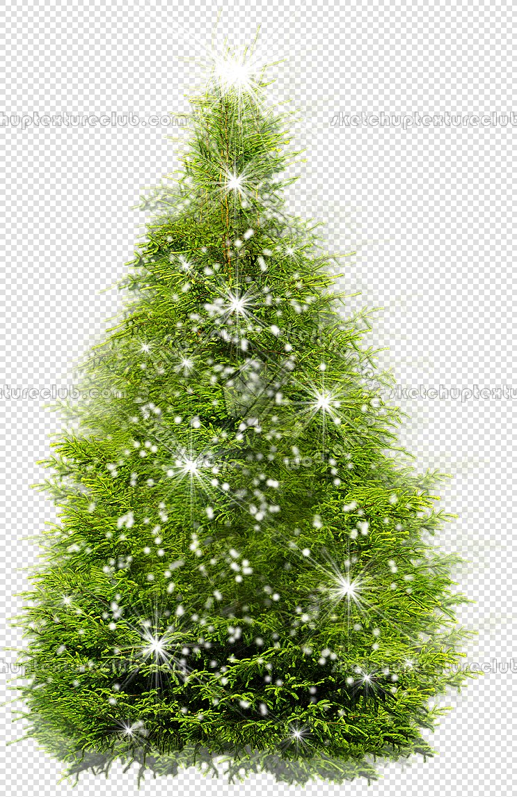 CUT OUT TREES PACKAGE 1 00011 - px 743x1145