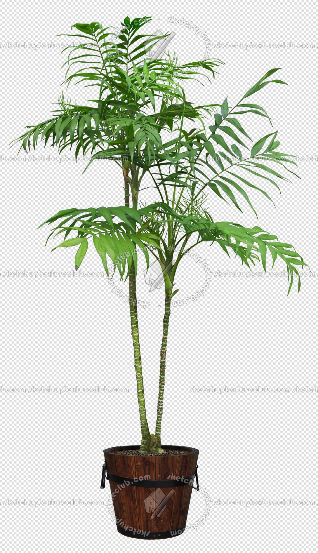 CUT OUT POT PLANTS PACK 1 00016 - pixel 1080 x 1880