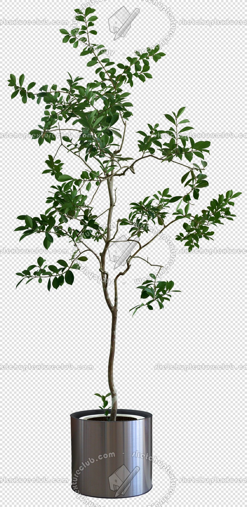 CUT OUT POT PLANTS PACK 1 00016 - pixel 840 x 1720