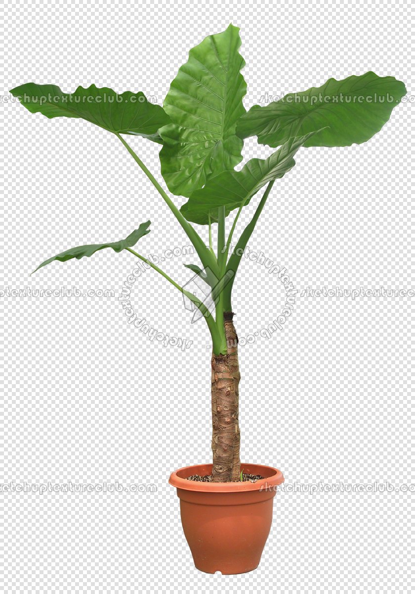 CUT OUT POT PLANTS PACK 1 00016 - pixel 840 x 1200