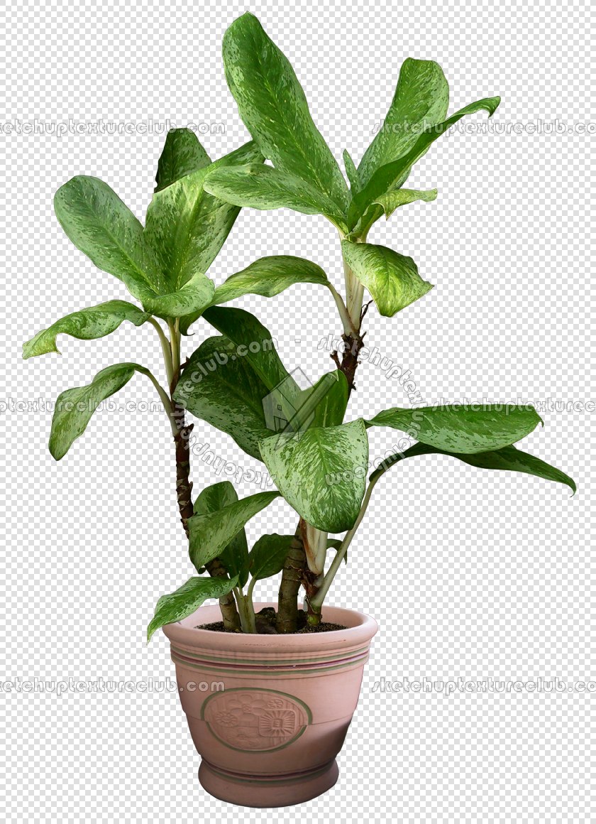 CUT OUT POT PLANTS PACK 1 00016 - pixel 840 x 1160